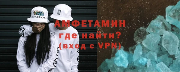молекула духа Богородицк