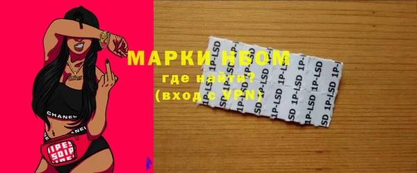 молекула духа Богородицк