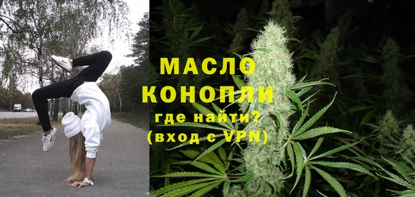 молекула духа Богородицк