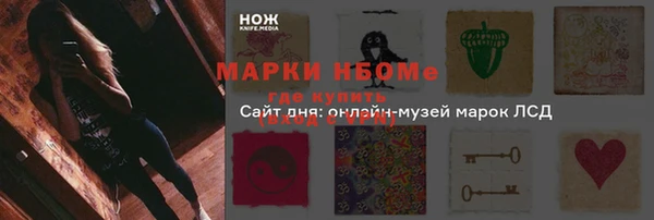 прущий лед Богданович