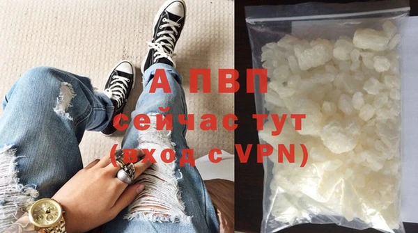 прущий лед Богданович