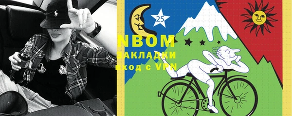 прущий лед Богданович