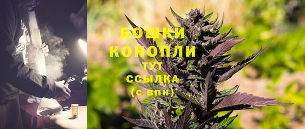 гашик Богородск