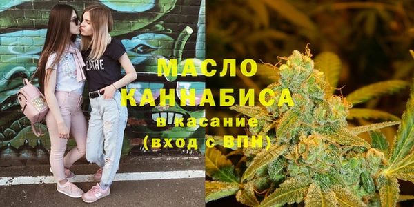 прущий лед Богданович