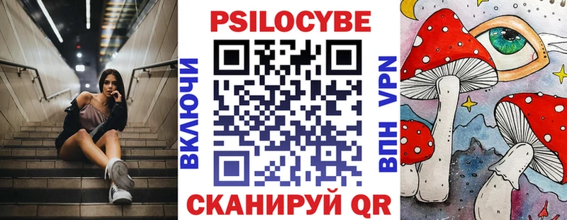 Галлюциногенные грибы Cubensis Щёлково